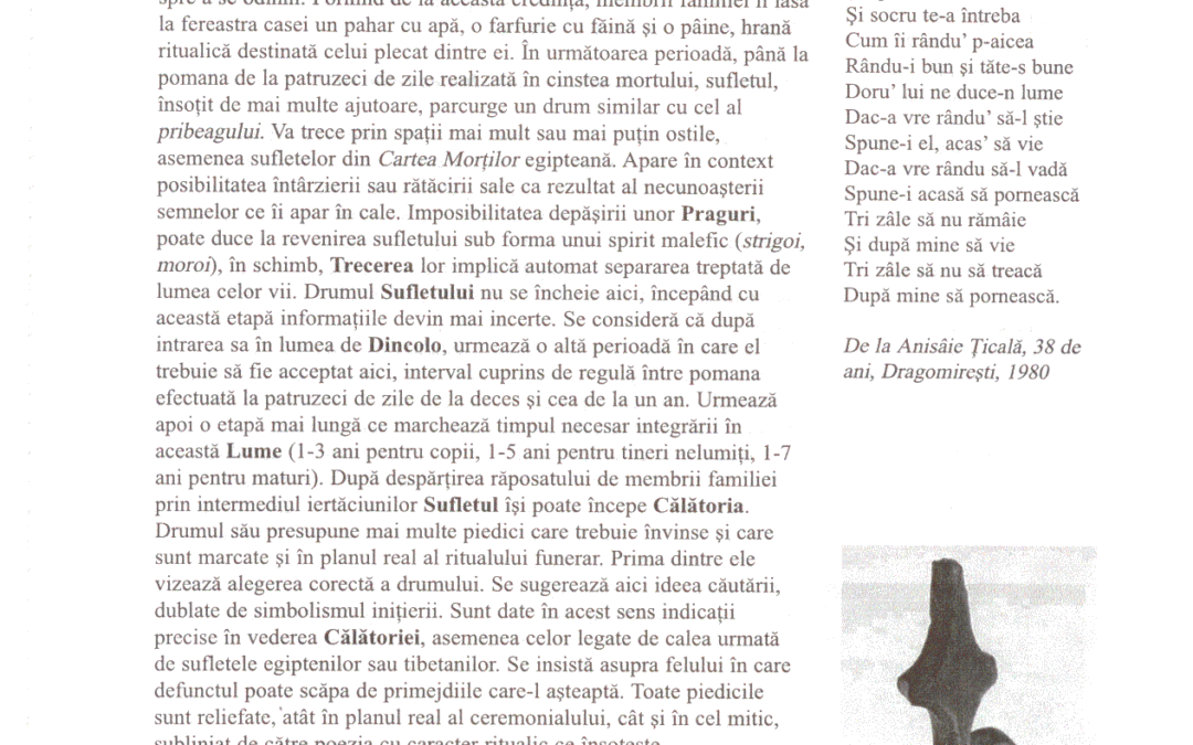 vol_20_100024