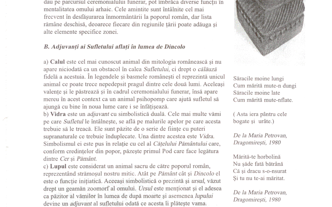 vol_20_100025