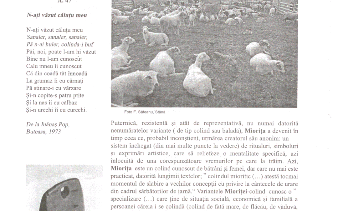 vol_20_100026a