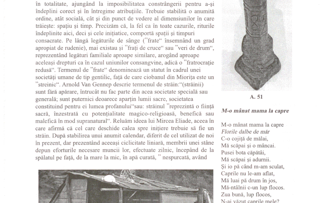 vol_20_100028
