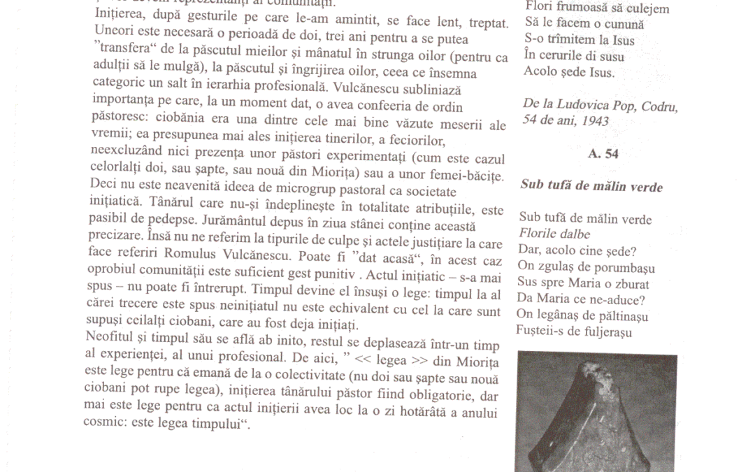 vol_20_100029