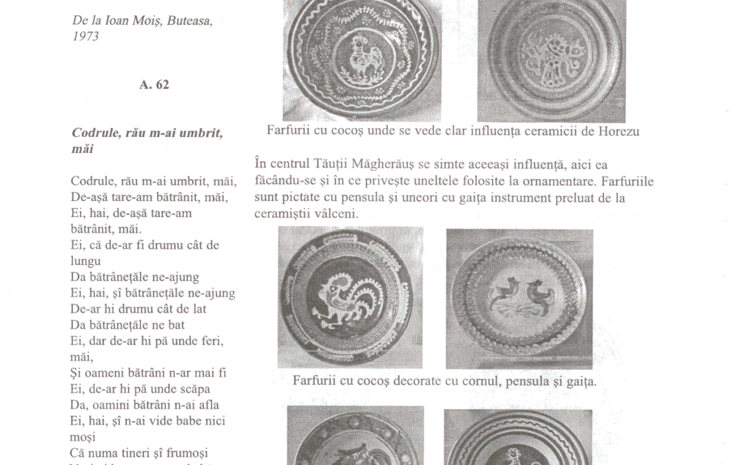 vol_20_100031a