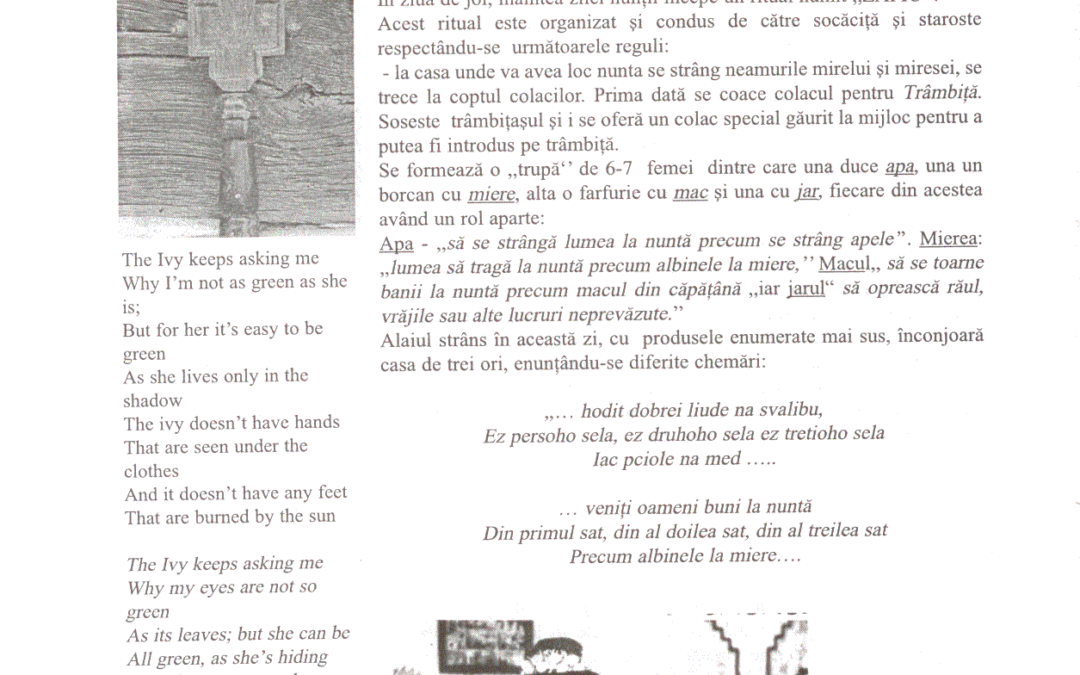 vol_20_100051a