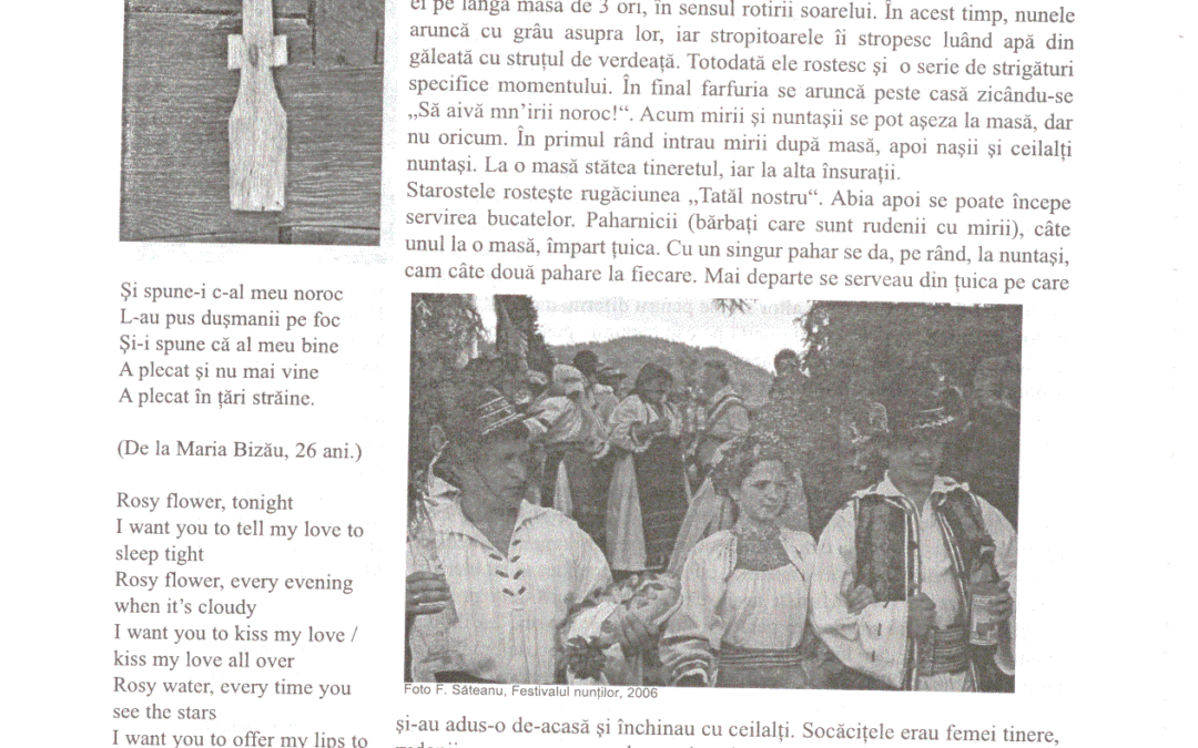 vol_20_100056a
