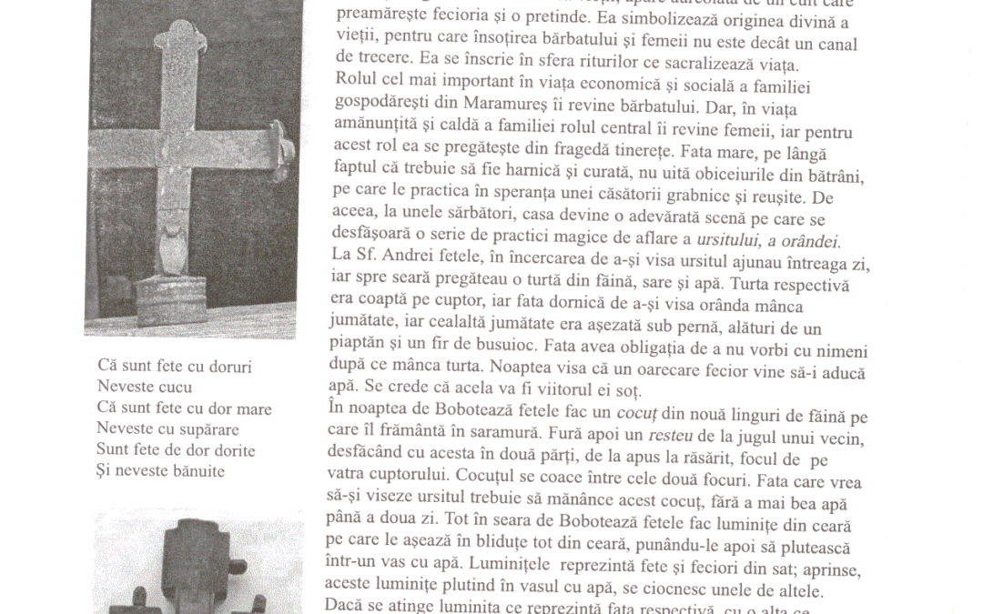 vol_20_100057a