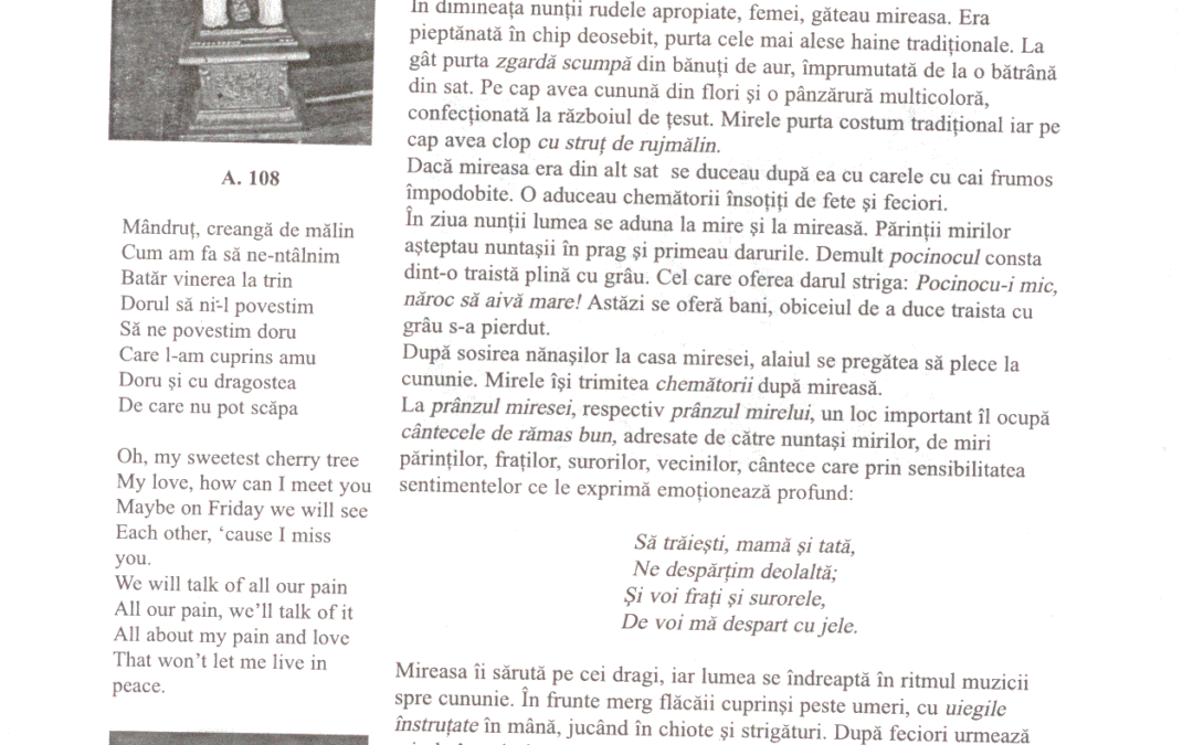 vol_20_100058a