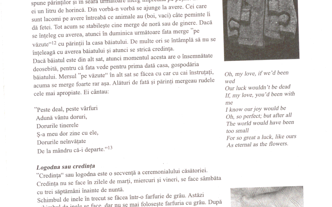 vol_20_100064