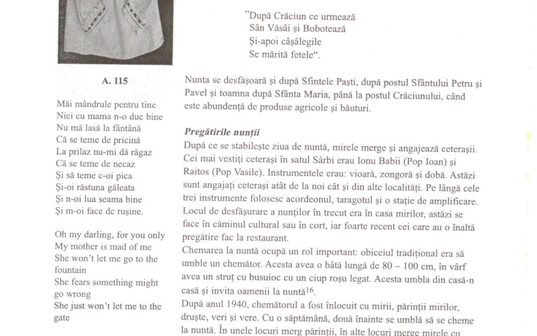 vol_20_100064a