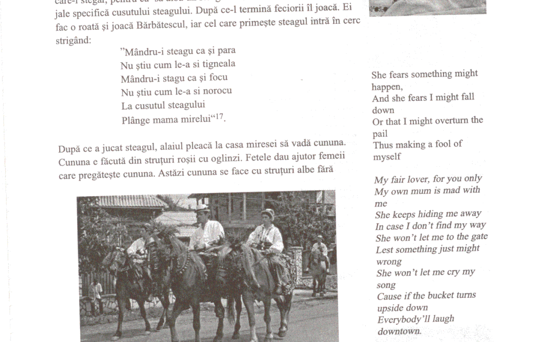 vol_20_100065
