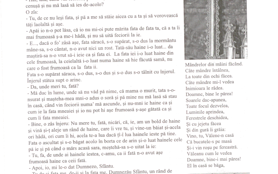 vol_20_100071