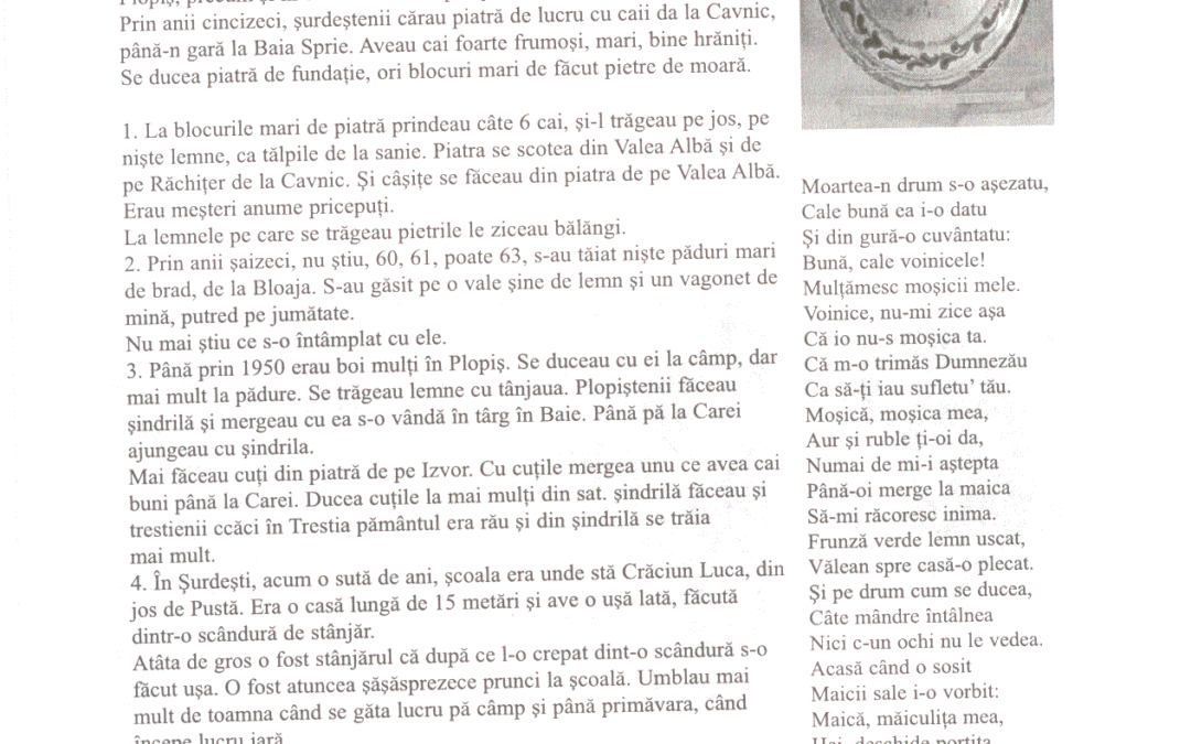 vol_20_100074