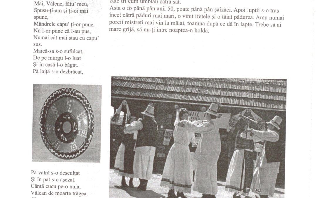 vol_20_100074a