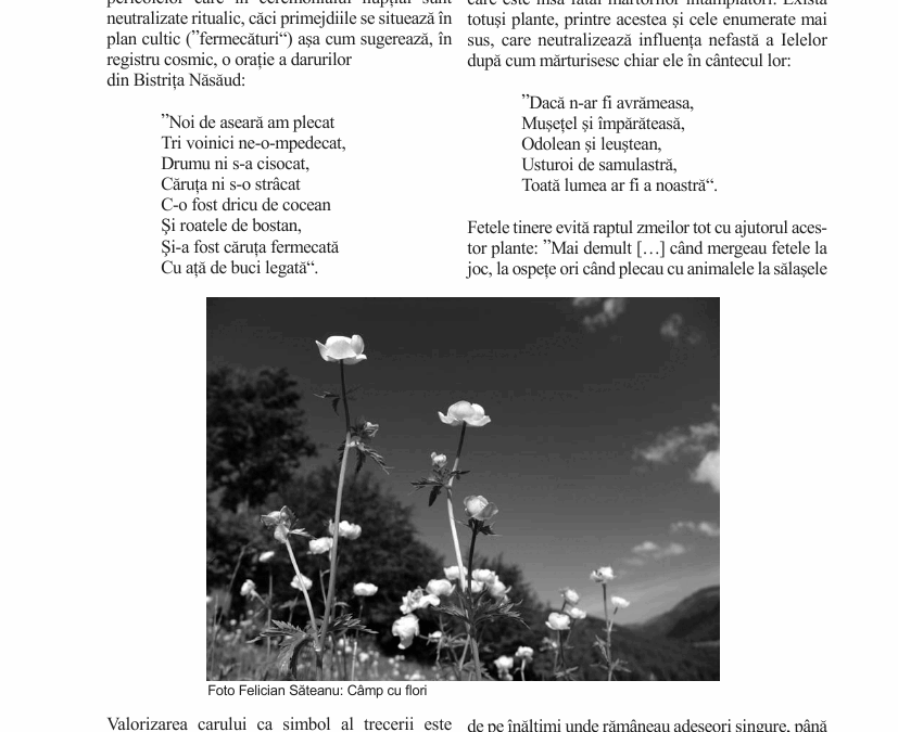 vol_21_23_150002