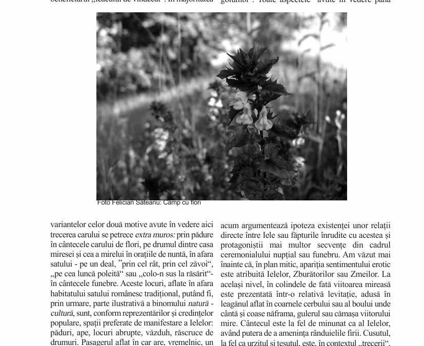 vol_21_23_150006