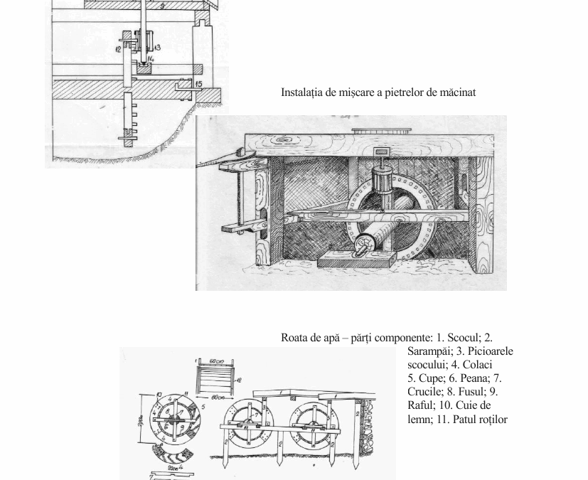vol_21_23_70004