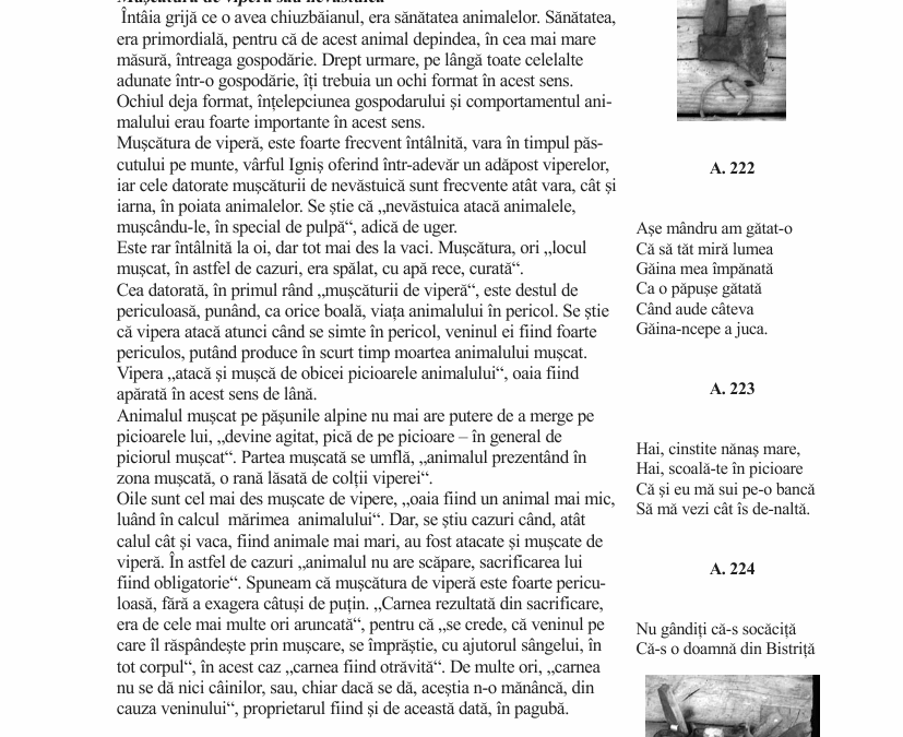 vol_21_23_b100000