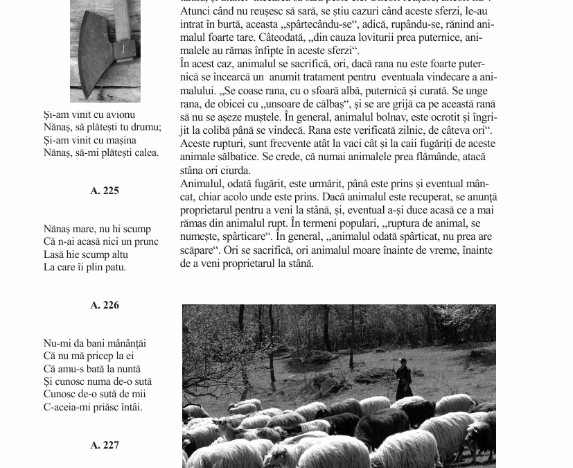 vol_21_23_b100001