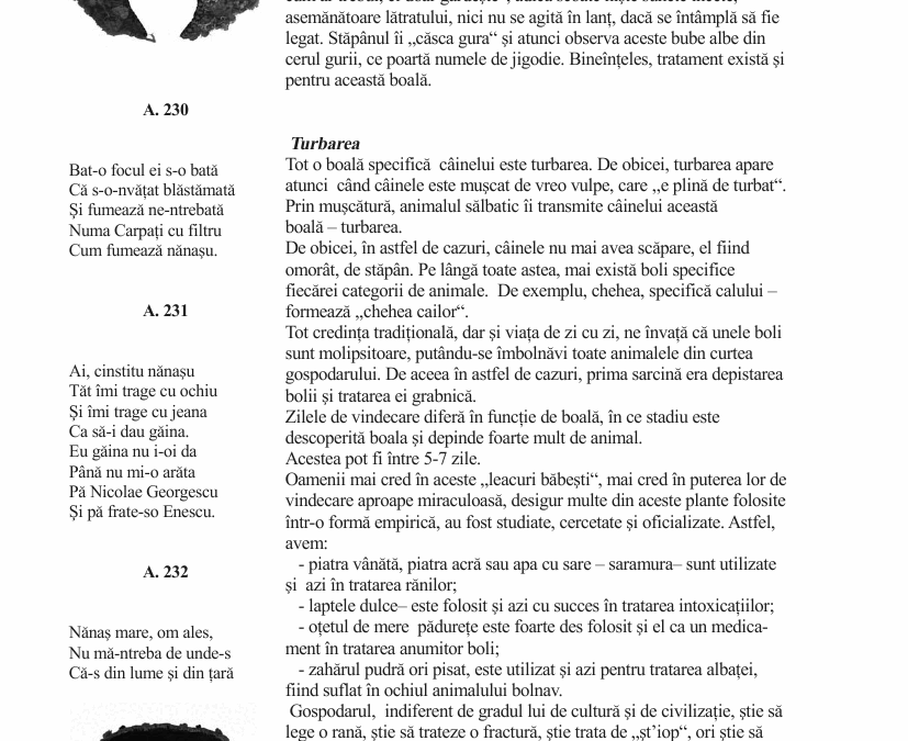 vol_21_23_b100003