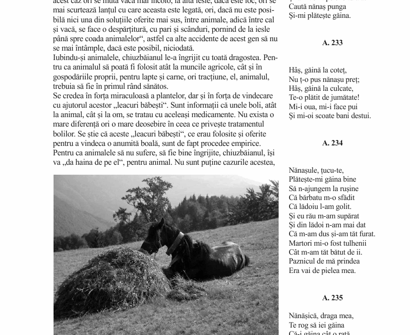 vol_21_23_b100004