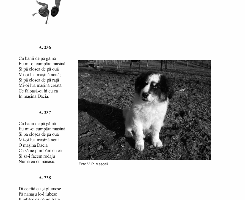 vol_21_23_b100005