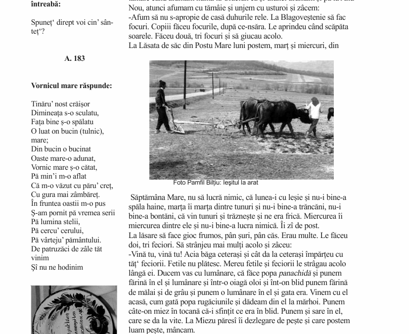 vol_21_23_b40002