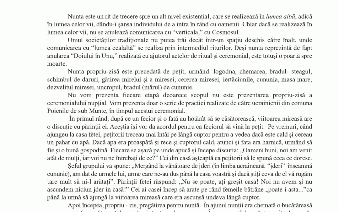 vol_24_25_camelia_maria_cosma_page_2