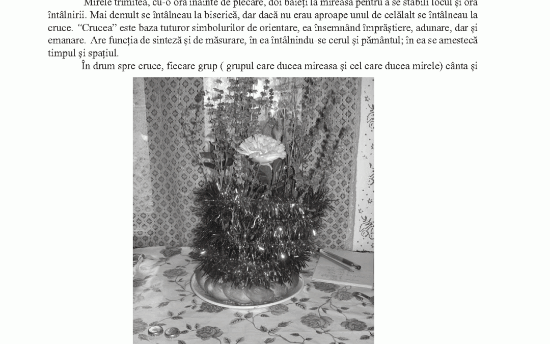 vol_24_25_camelia_maria_cosma_page_3