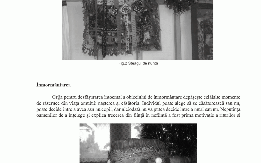 vol_24_25_camelia_maria_cosma_page_4