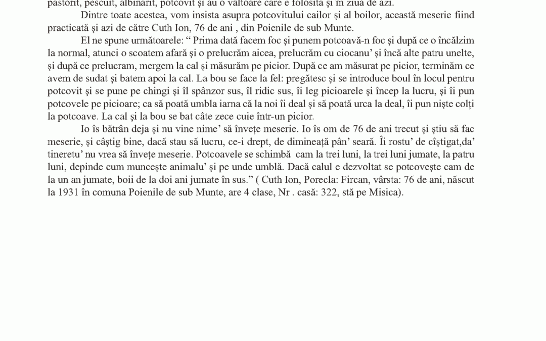 vol_24_25_carmen_alina_brandusan_page_3