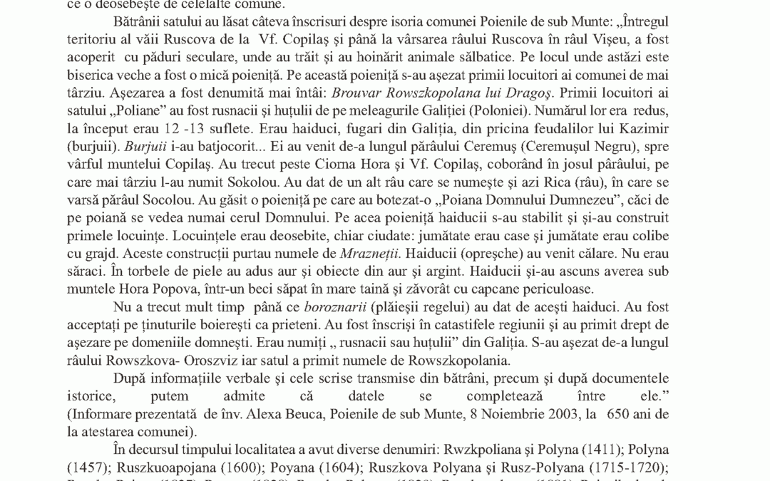 vol_24_25_corina_andrea_mesaros_page_1