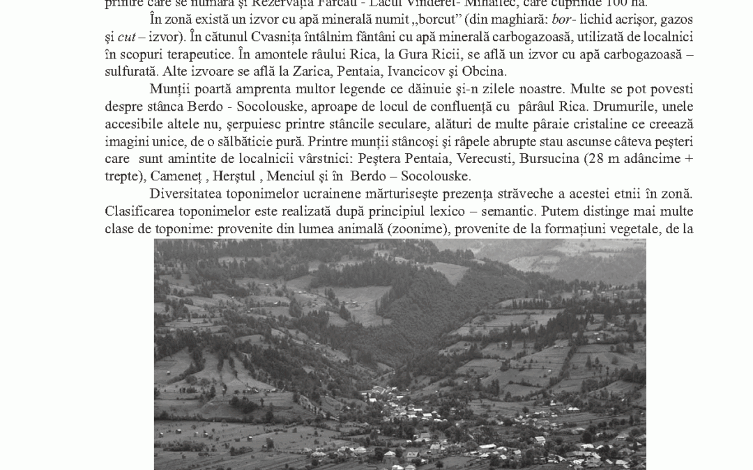 vol_24_25_corina_andrea_mesaros_page_2