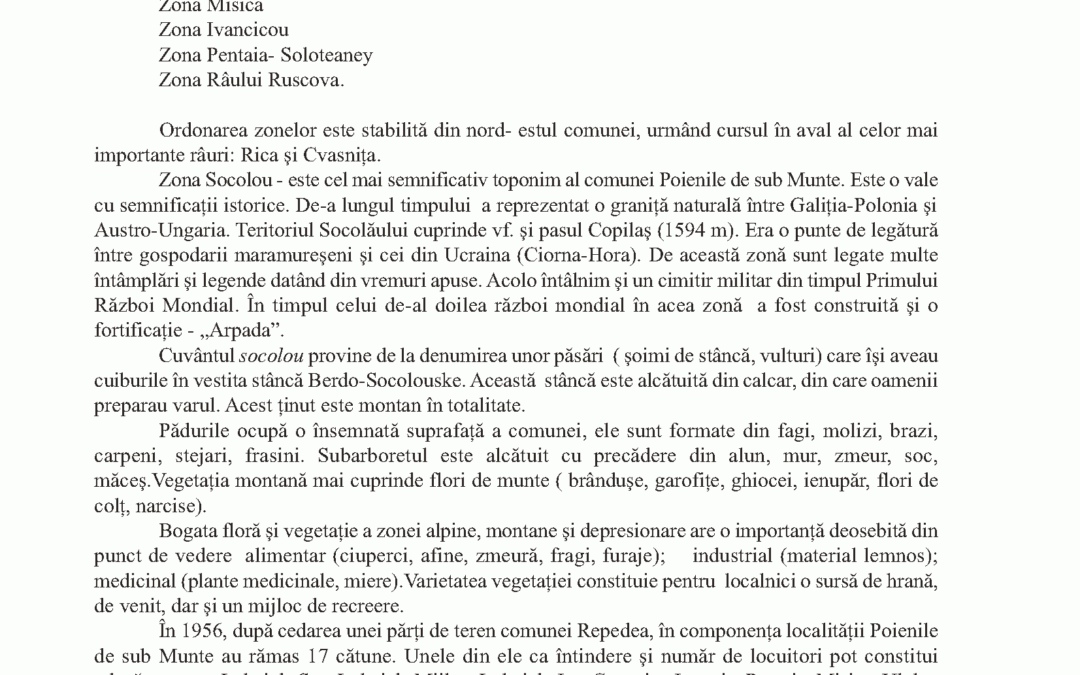 vol_24_25_corina_andrea_mesaros_page_3