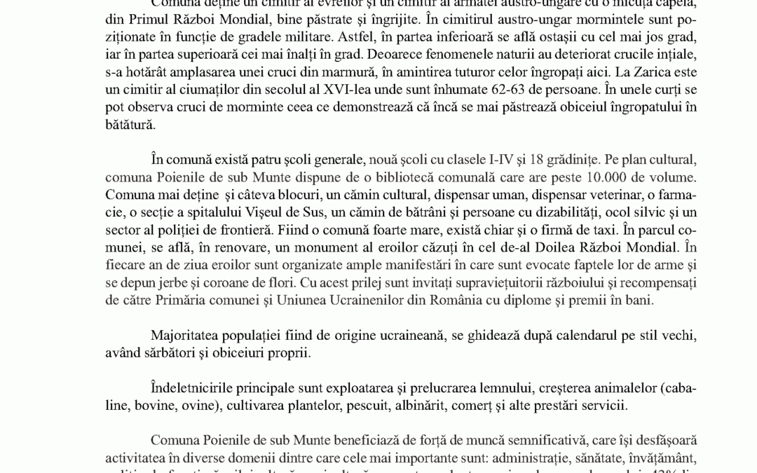 vol_24_25_corina_andrea_mesaros_page_4
