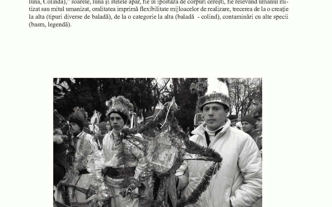 vol_24_25_delia_rachisan_page_5