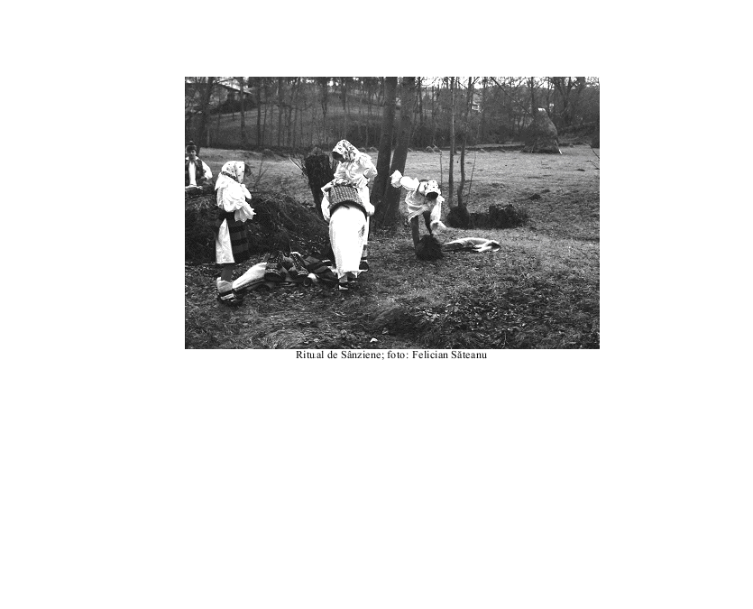 vol_32_33_ana-olos_stefania-cristescu-golopentia-sporul-vietii-jurnal-studii-si-corespondenta_page_06