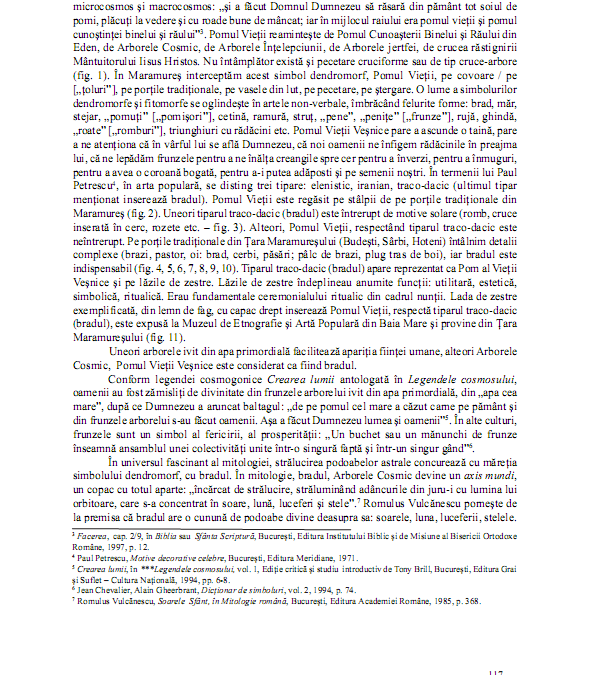me_vol_50_51_p_114_126_articole_si_studii_delia_anamaria_rachisan_004