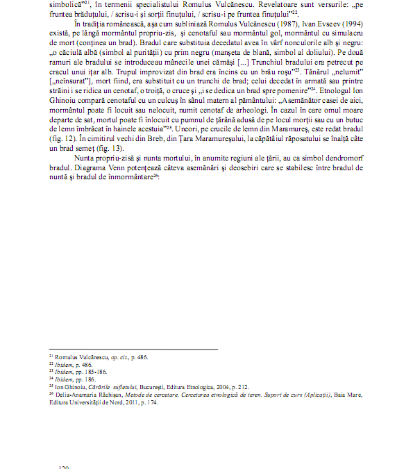 me_vol_50_51_p_114_126_articole_si_studii_delia_anamaria_rachisan_007