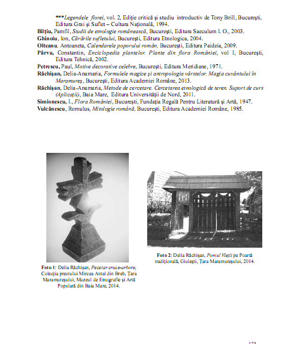 me_vol_50_51_p_114_126_articole_si_studii_delia_anamaria_rachisan_010
