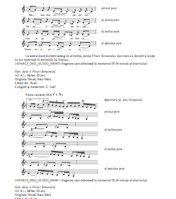 me_54_55_p_006_029_corina_iosif_021