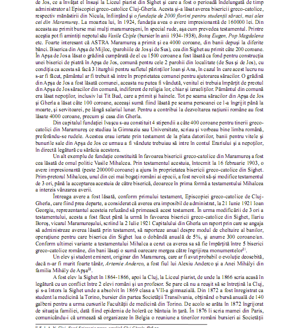 me_54_55_p_084_101_livia_ardelean_008