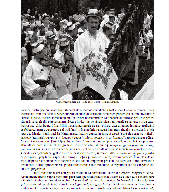 me_54_55_p_120_127_corina_isabella_csiszar_006