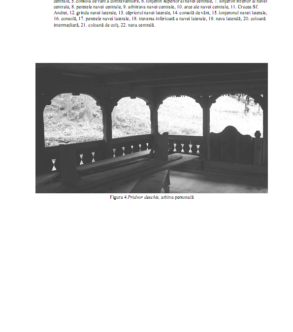 me_56_57_p_078_087_carmen_florescu_010