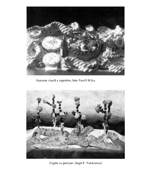 memoria_ethnologica_60-61__Page106