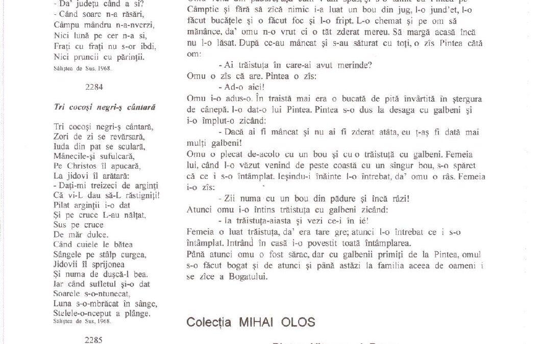 olos-pintea-8-9-898