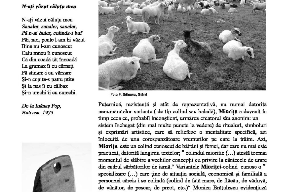 roman-moartea-1912-1917