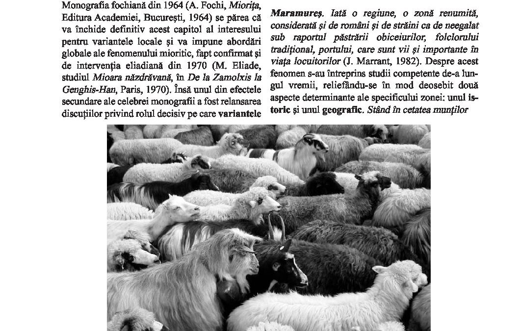 stef-miorita-2099-2102-21-23