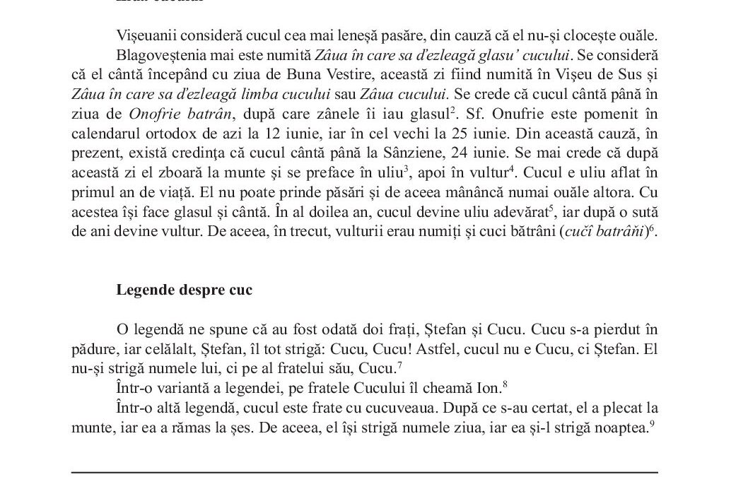 viseu-de-sus-andreica-254-265-100-2026